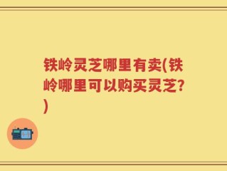 铁岭灵芝哪里有卖(铁岭哪里可以购买灵芝？)