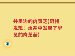 井里边的肉灵芝(奇特发现：水井中发现了罕见的肉芝菇)