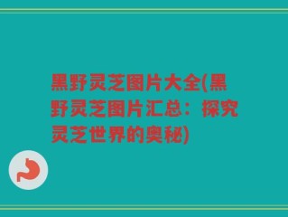 黑野灵芝图片大全(黑野灵芝图片汇总：探究灵芝世界的奥秘)