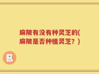 麻陂有没有种灵芝的(麻陂是否种植灵芝？)
