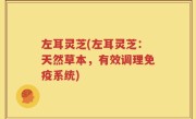 左耳灵芝(左耳灵芝：天然草本，有效调理免疫系统)