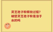 灵芝孢子粉释放过程？破壁灵芝孢子粉是溶于水的吗