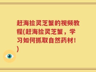 赶海捡灵芝蟹的视频教程(赶海捡灵芝蟹，学习如何抓取自然药材！)