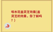 啄木花盖灵芝效果(盖灵芝的效果，你了解吗？)