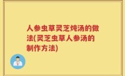 人参虫草灵芝炖汤的做法(灵芝虫草人参汤的制作方法)