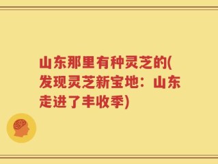 山东那里有种灵芝的(发现灵芝新宝地：山东走进了丰收季)