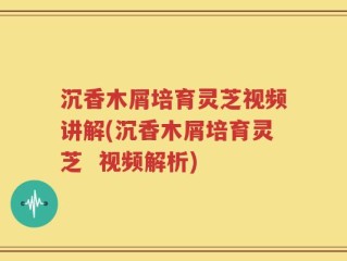 沉香木屑培育灵芝视频讲解(沉香木屑培育灵芝  视频解析)
