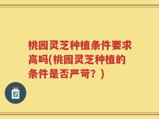 桃园灵芝种植条件要求高吗(桃园灵芝种植的条件是否严苛？)