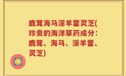 鹿茸海马淫羊藿灵芝(珍贵的海洋草药成分：鹿茸、海马、淫羊藿、灵芝)