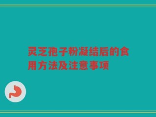 灵芝孢子粉凝结后的食用方法及注意事项