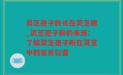 灵芝孢子粉长在灵芝哪_灵芝孢子粉的来源：了解灵芝孢子粉在灵芝中的生长位置