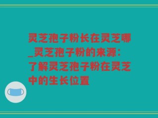 灵芝孢子粉长在灵芝哪_灵芝孢子粉的来源：了解灵芝孢子粉在灵芝中的生长位置