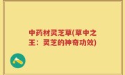 中药材灵芝草(草中之王：灵芝的神奇功效)