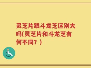 灵芝片跟斗龙芝区别大吗(灵芝片和斗龙芝有何不同？)