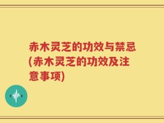 赤木灵芝的功效与禁忌(赤木灵芝的功效及注意事项)