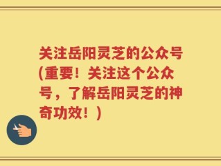 关注岳阳灵芝的公众号(重要！关注这个公众号，了解岳阳灵芝的神奇功效！)