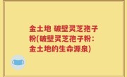 金土地 破壁灵芝孢子粉(破壁灵芝孢子粉：金土地的生命源泉)