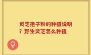 灵芝孢子粉的种植说明？野生灵芝怎么种植