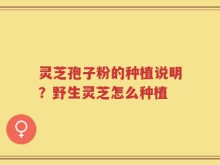灵芝孢子粉的种植说明？野生灵芝怎么种植