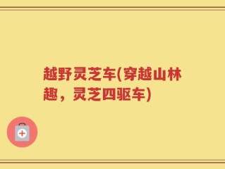 越野灵芝车(穿越山林趣，灵芝四驱车)