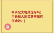 牛头配大地灵芝好吗(牛头和大地灵芝搭配有何功效？)