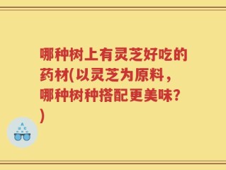 哪种树上有灵芝好吃的药材(以灵芝为原料，哪种树种搭配更美味？)