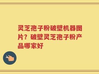 灵芝孢子粉破壁机器图片？破壁灵芝孢子粉产品哪家好