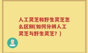 人工灵芝和野生灵芝怎么区别(如何分辨人工灵芝与野生灵芝？)