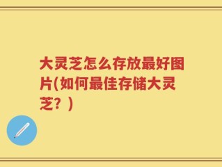 大灵芝怎么存放最好图片(如何最佳存储大灵芝？)