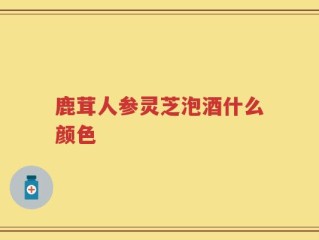 鹿茸人参灵芝泡酒什么颜色