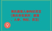 黄氏鹿茸人参枸杞灵芝(黄氏养生草药：鹿茸、人参、枸杞、灵芝)
