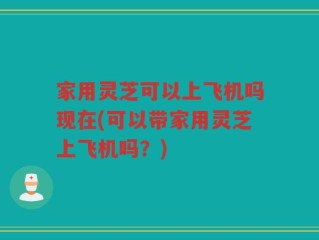 家用灵芝可以上飞机吗现在(可以带家用灵芝上飞机吗？)