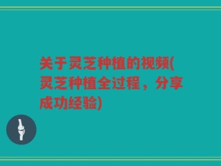 关于灵芝种植的视频(灵芝种植全过程，分享成功经验)