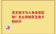 灵芝孢子与人参皂苷区别？怎么辨别灵芝孢子粉好坏