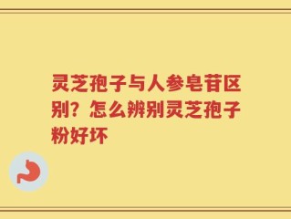 灵芝孢子与人参皂苷区别？怎么辨别灵芝孢子粉好坏
