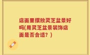 店面里摆放灵芝盆景好吗(用灵芝盆景装饰店面是否合适？)