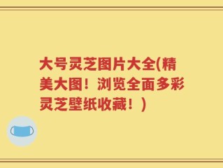 大号灵芝图片大全(精美大图！浏览全面多彩灵芝壁纸收藏！)