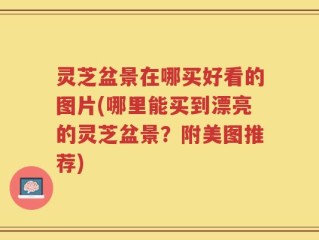 灵芝盆景在哪买好看的图片(哪里能买到漂亮的灵芝盆景？附美图推荐)