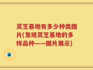 灵芝基地有多少种类图片(发现灵芝基地的多样品种——图片展示)
