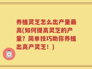养植灵芝怎么出产量最高(如何提高灵芝的产量？简单技巧助你养植出高产灵芝！)