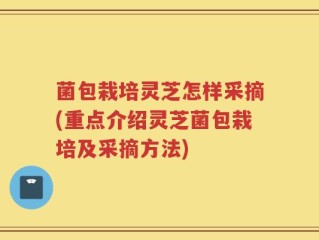 菌包栽培灵芝怎样采摘(重点介绍灵芝菌包栽培及采摘方法)