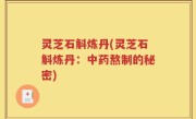 灵芝石斛炼丹(灵芝石斛炼丹：中药熬制的秘密)