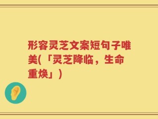 形容灵芝文案短句子唯美(「灵芝降临，生命重焕」)
