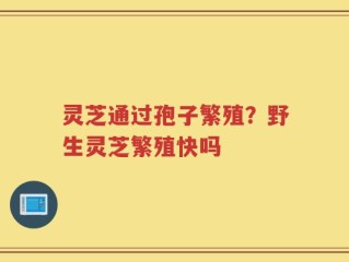 灵芝通过孢子繁殖？野生灵芝繁殖快吗