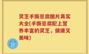 灵芝手撕豆腐图片真实大全(手撕豆腐配上营养丰富的灵芝，健康又美味)