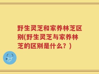 野生灵芝和家养林芝区别(野生灵芝与家养林芝的区别是什么？)