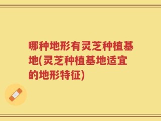 哪种地形有灵芝种植基地(灵芝种植基地适宜的地形特征)