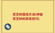 灵芝树栽培方法(种植灵芝树的简易技巧)
