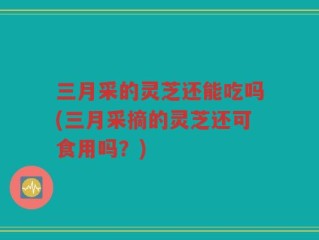 三月采的灵芝还能吃吗(三月采摘的灵芝还可食用吗？)