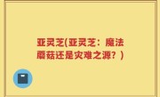 亚灵芝(亚灵芝：魔法蘑菇还是灾难之源？)